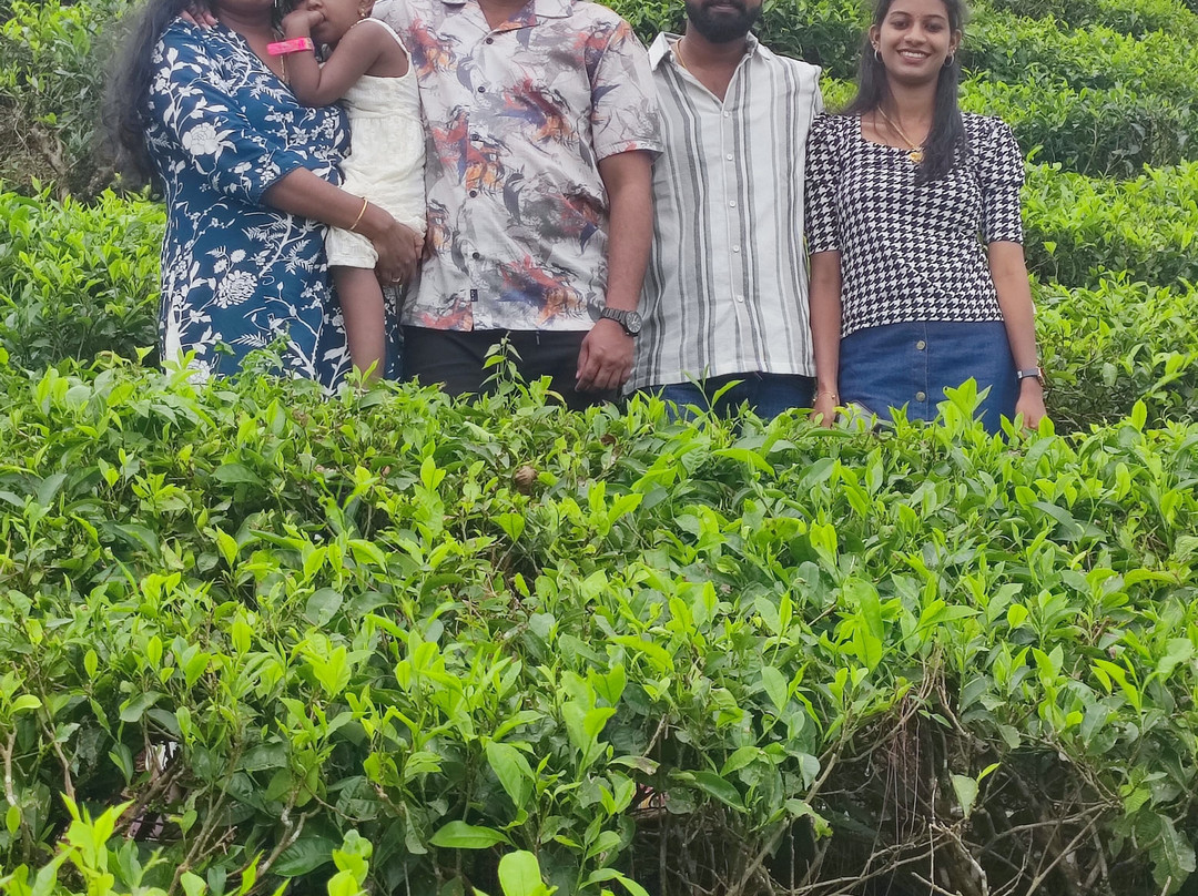 Palette Hotels And Resorts Vagamon主图