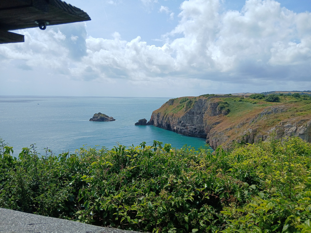 Berry Head National Nature Reserve-布里克瑟姆必去景点