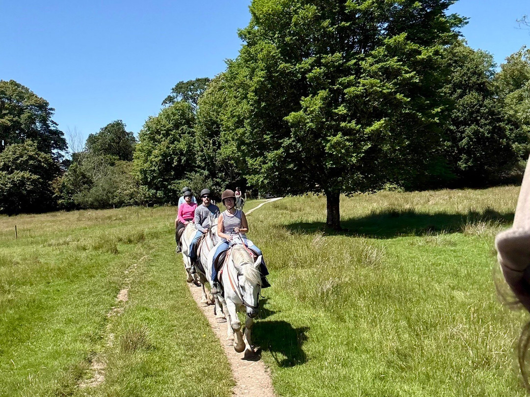 Killarney Riding Stables-基拉尼必去景点