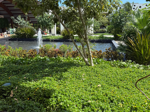 AXG Travel-坎昆必去景点