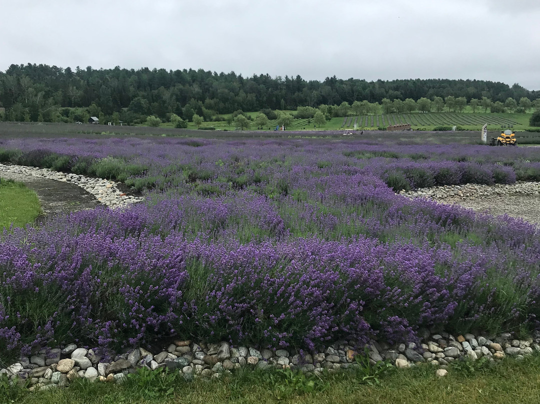 Bleu Lavande-梅戈格必去景点
