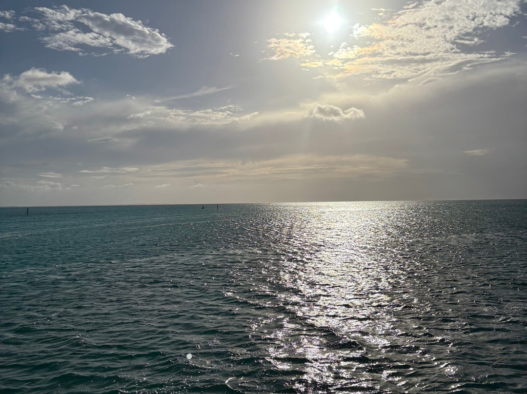 Caicos Dream Tours-普罗维登西亚莱斯必去景点