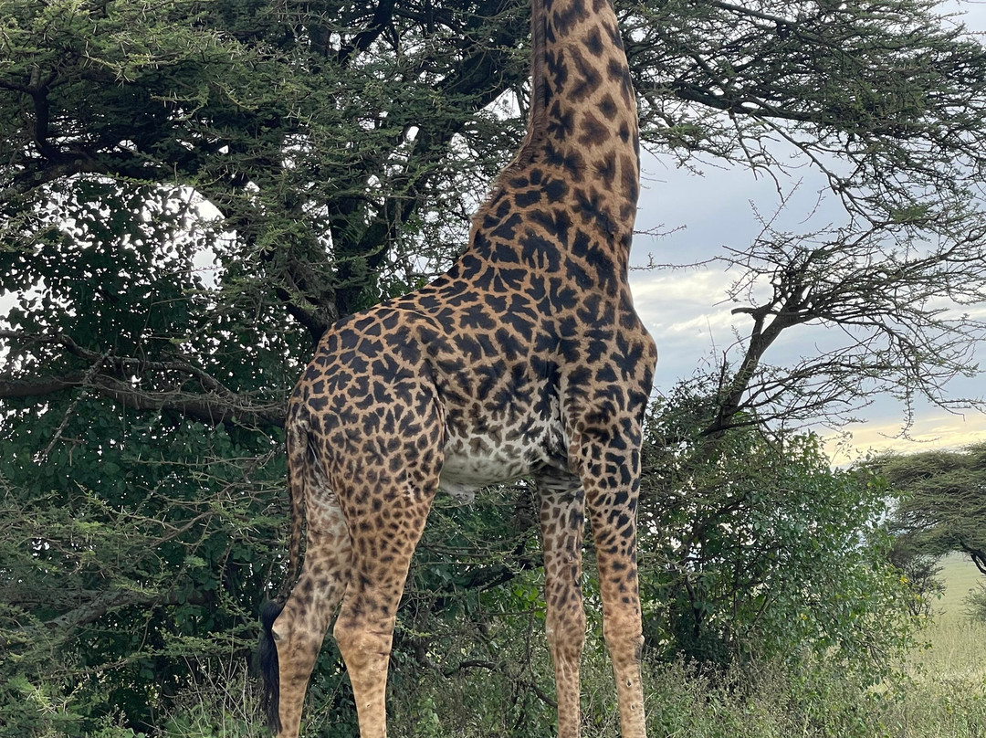 Warrior Trails-阿鲁沙必去景点