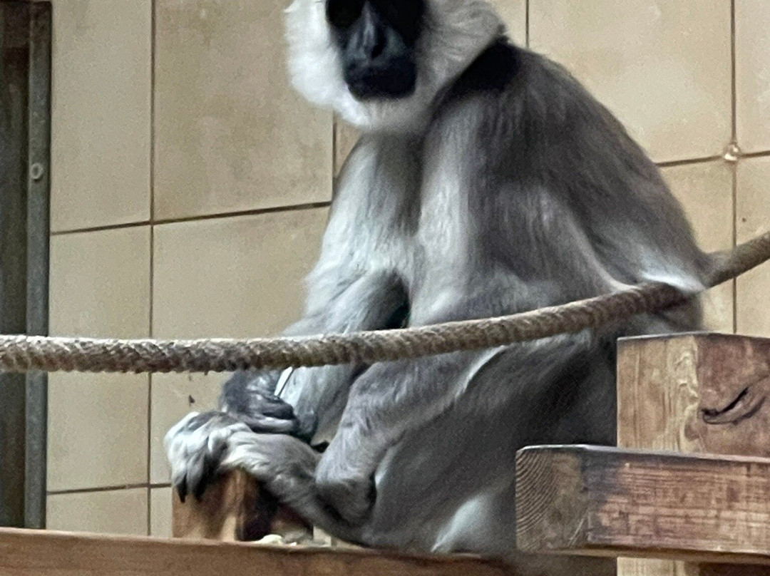 ZooParc de Trégomeur-Tregomeur必去景点