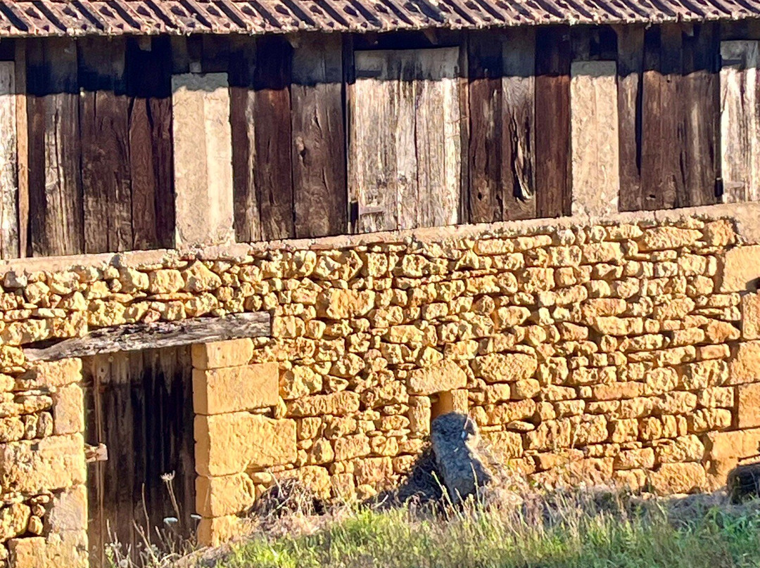 Le Pigeonnier de Labrot主图