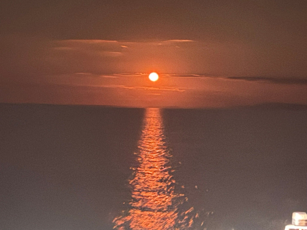 Coral Expeditions-凯恩斯必去景点