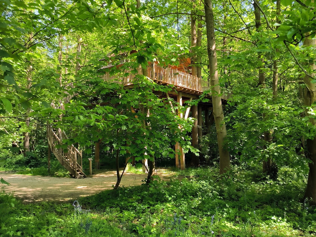 Exclusiv Golf Chateau de Raray-Raray必去景点