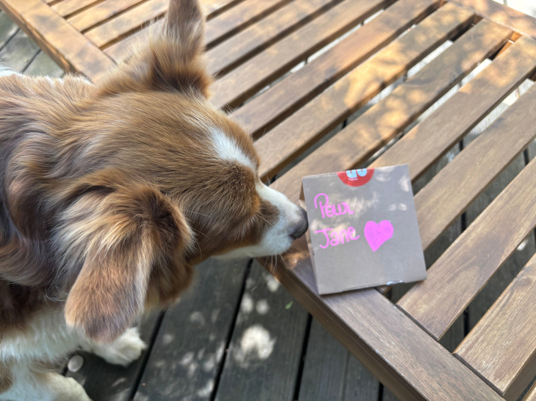 Pavlova Et Vieilles Dentelles
