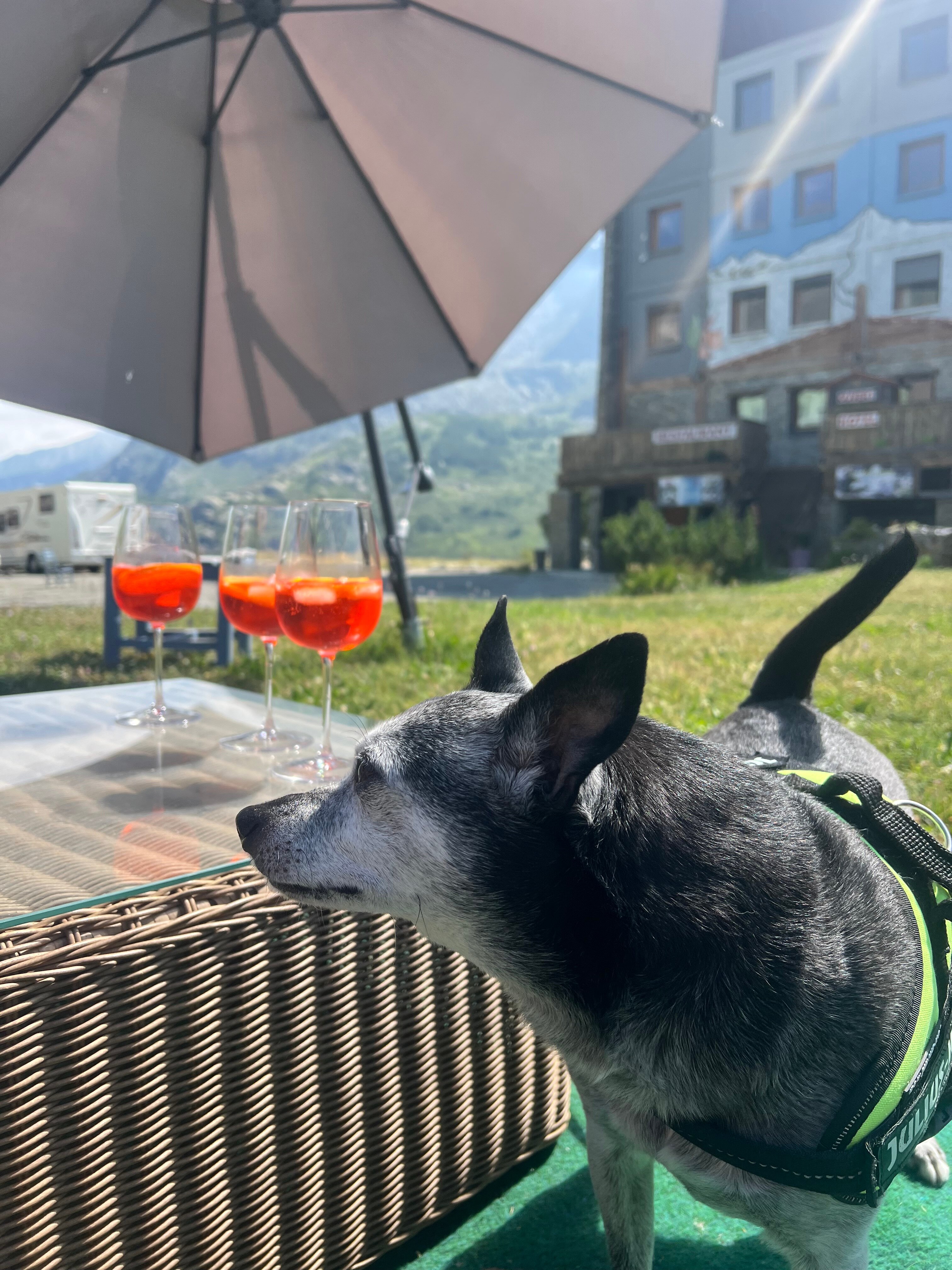 Hôtel Le Malamot-官方