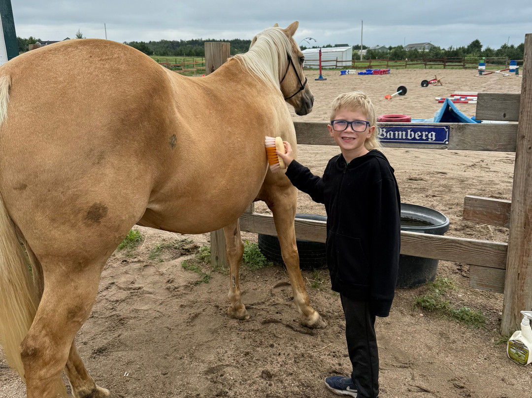Christine's Horseback Riding-卡尼必去景点