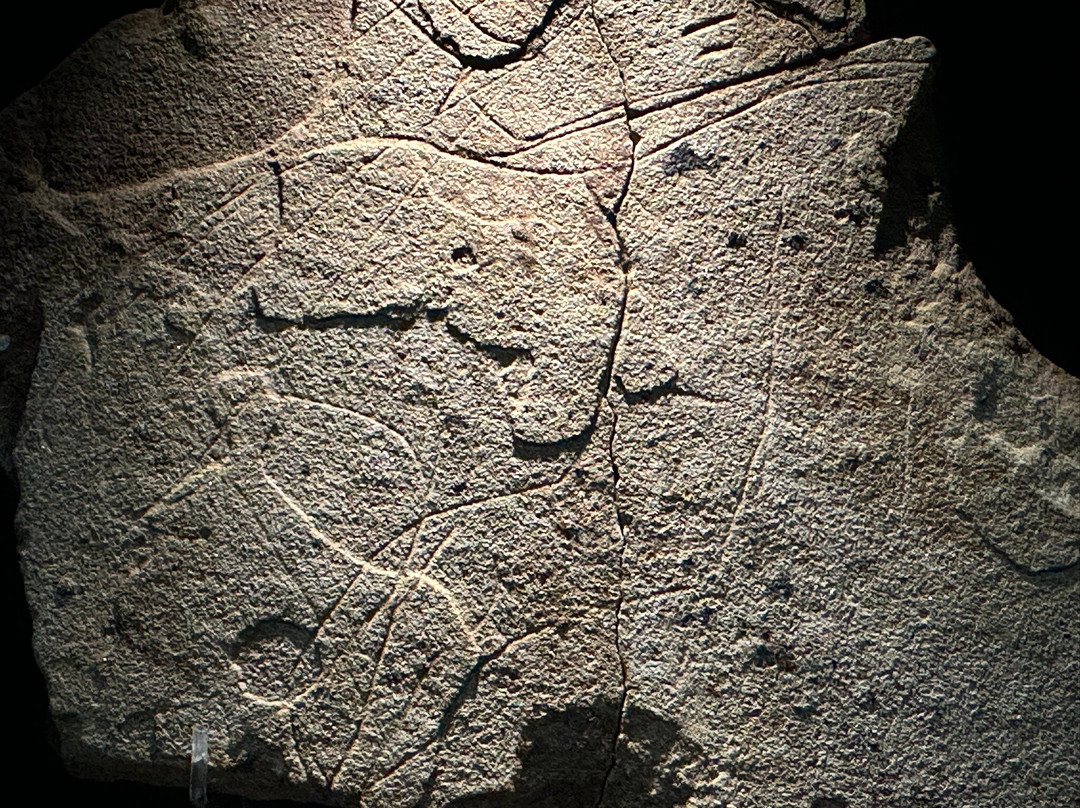 Prehistory and Archaeology Museum of Cantabria-桑坦德必去景点