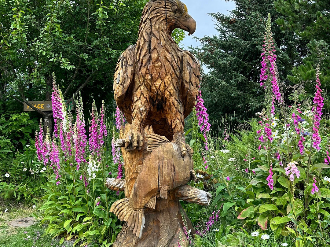 Seldovia Nature Tours-Seldovia必去景点