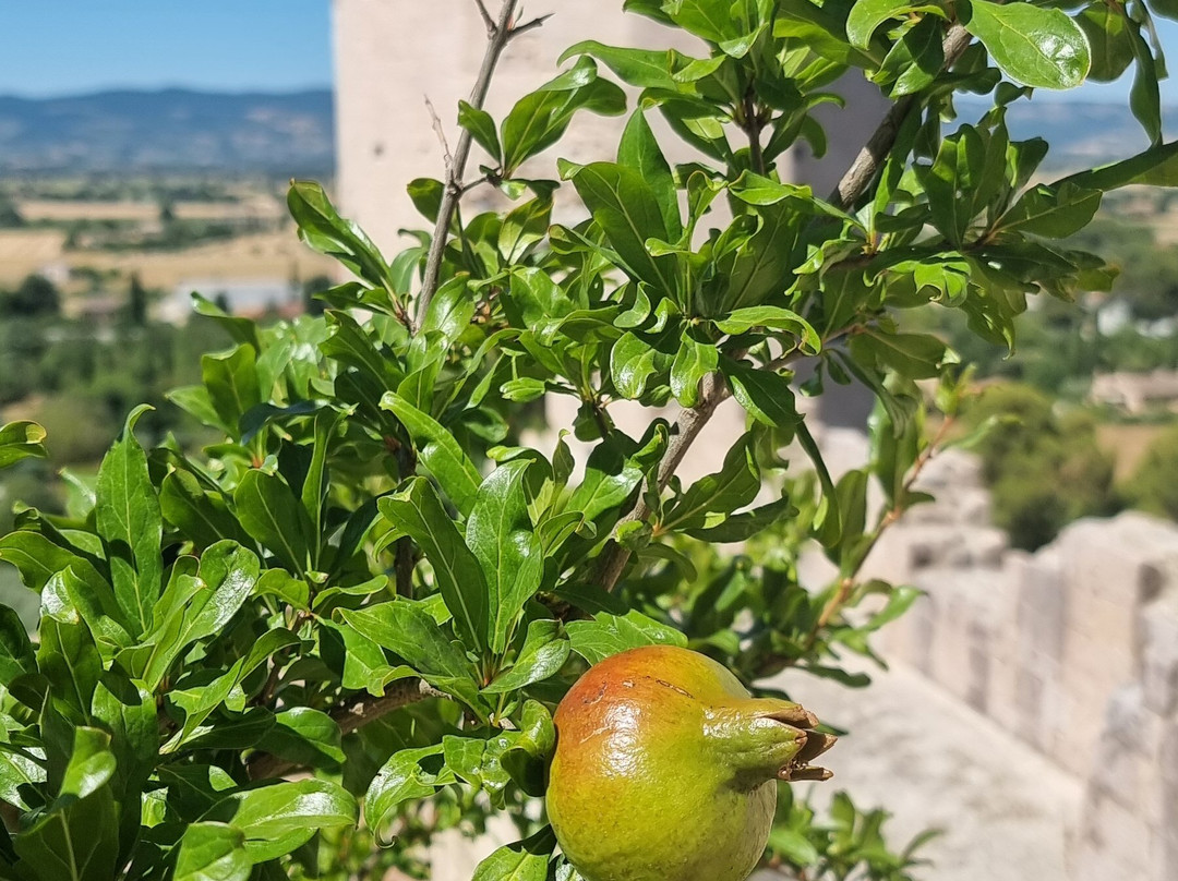 Torri di Properzio e Porta Venere-Spello必去景点