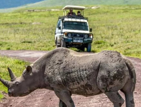 OnTarget Safari-桑给巴尔岛必去景点