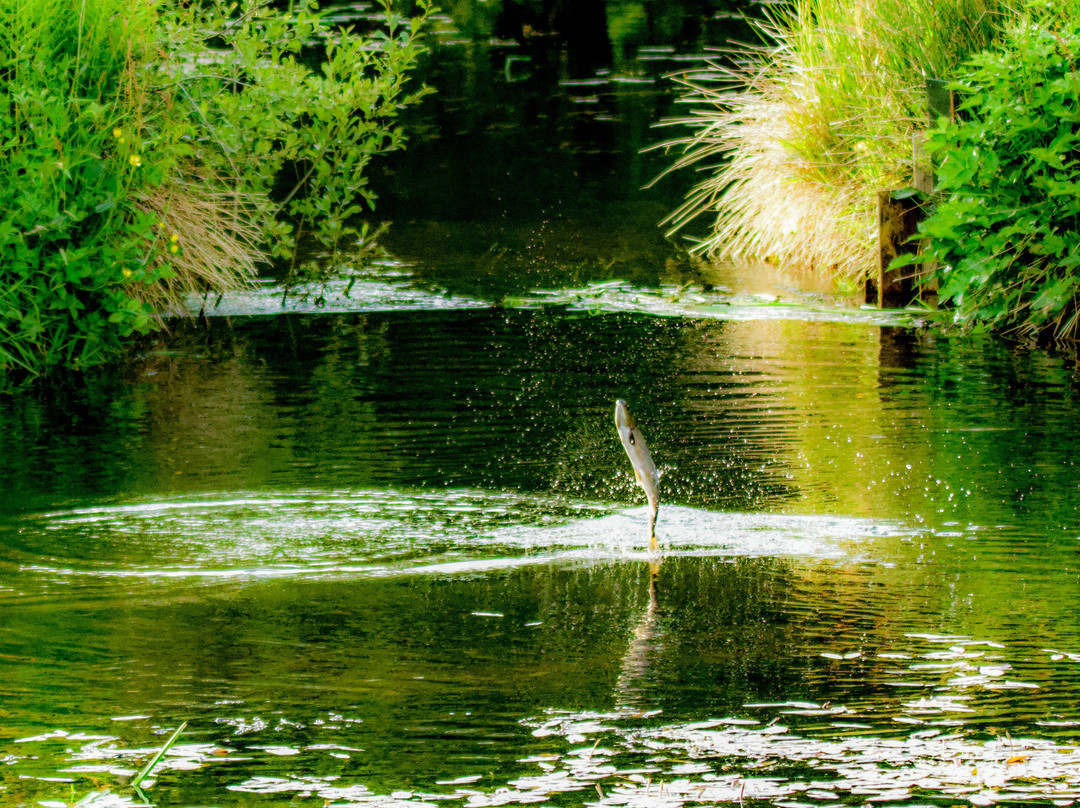Trossachs Osprey Hide-卡兰德必去景点