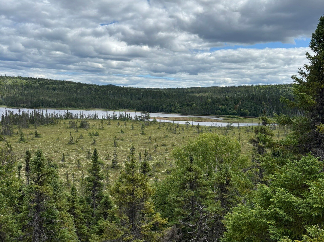Terra Nova National Park-Glovertown必去景点