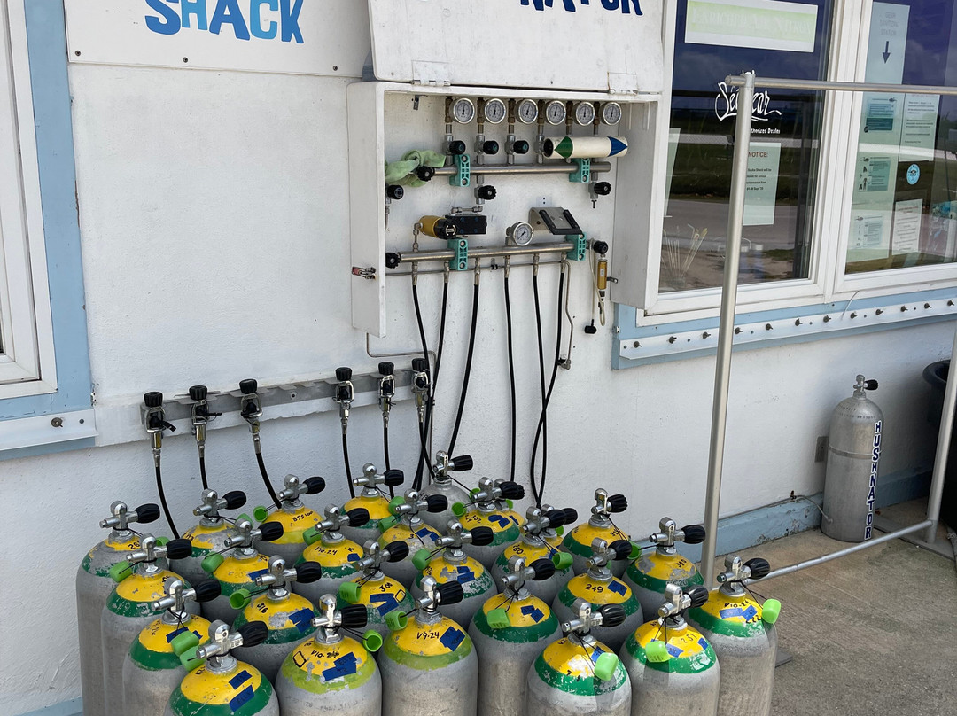 Brac Scuba Shack-Cayman Brac必去景点