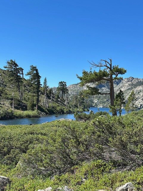 Gray Eagle Lodge主图