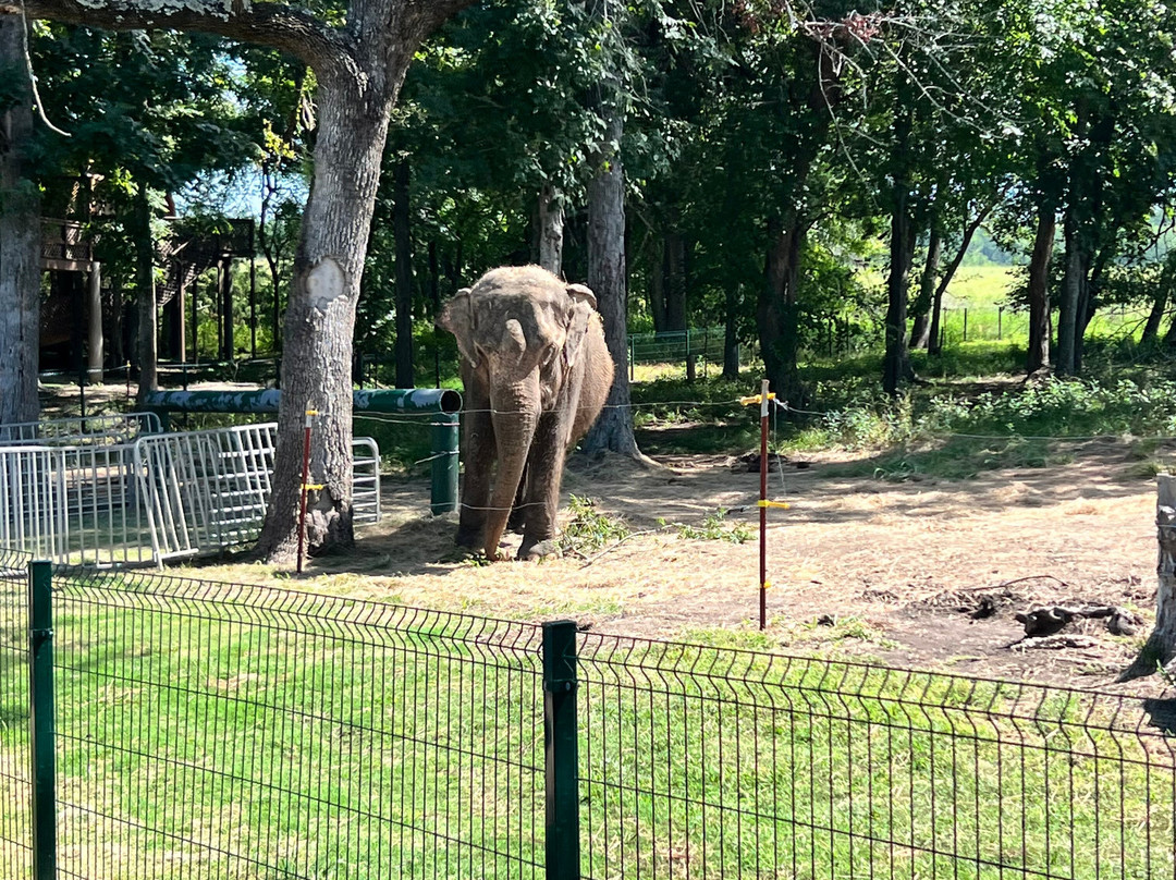 The Endangered Ark Foundation-Hugo必去景点