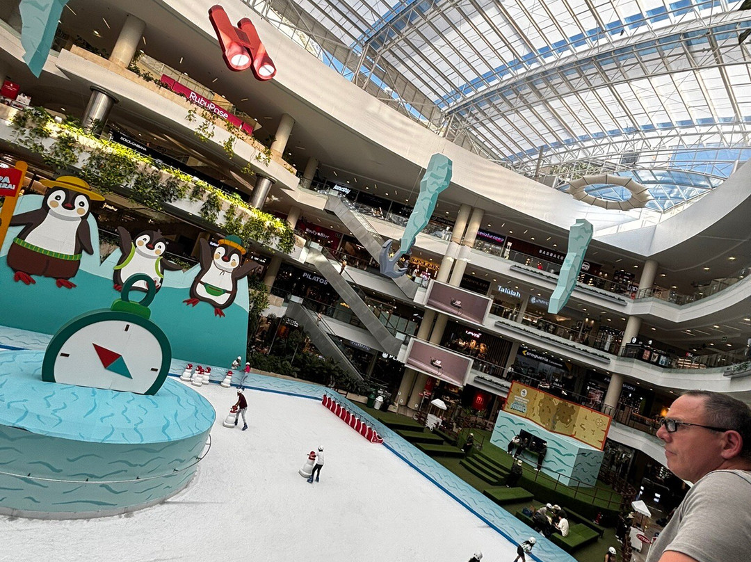 Centro Comercial Santa Fe-加拉加斯必去景点