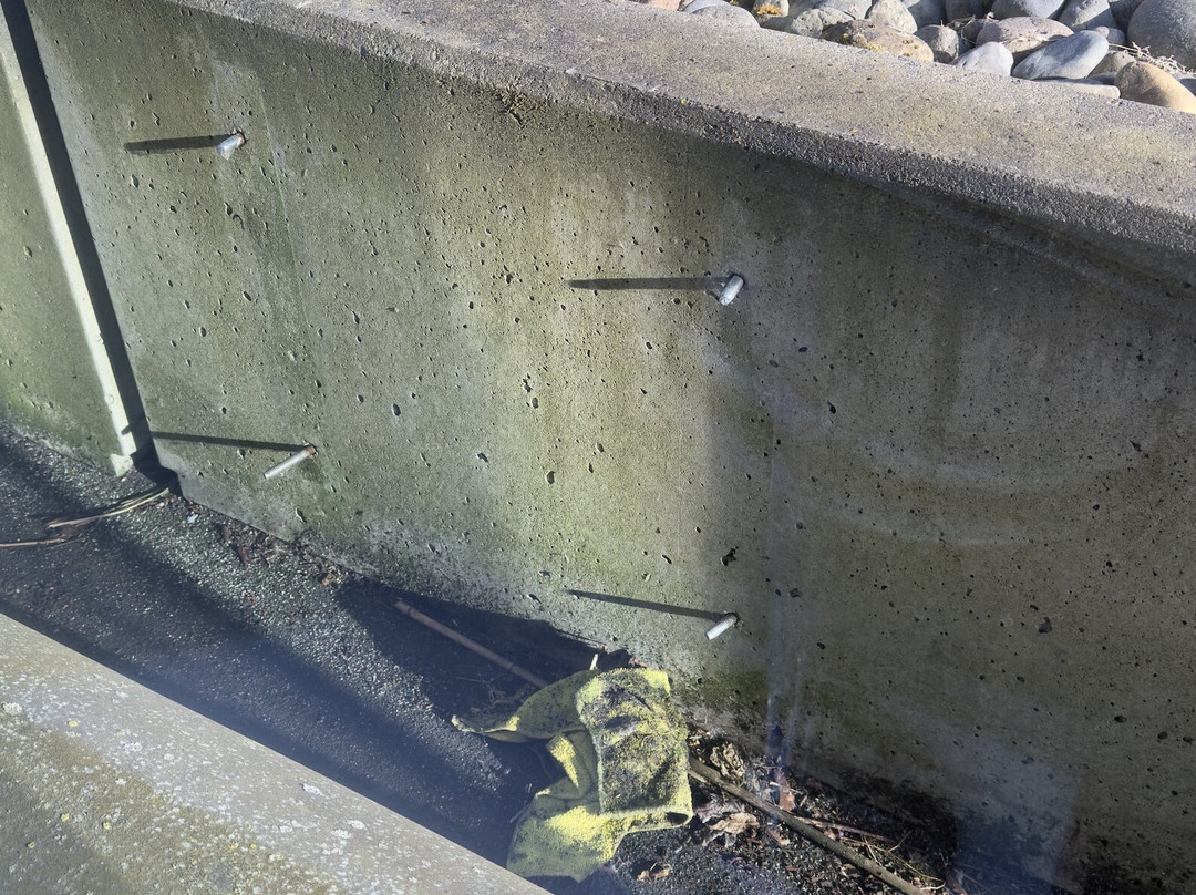 The Westin Bellevue主图