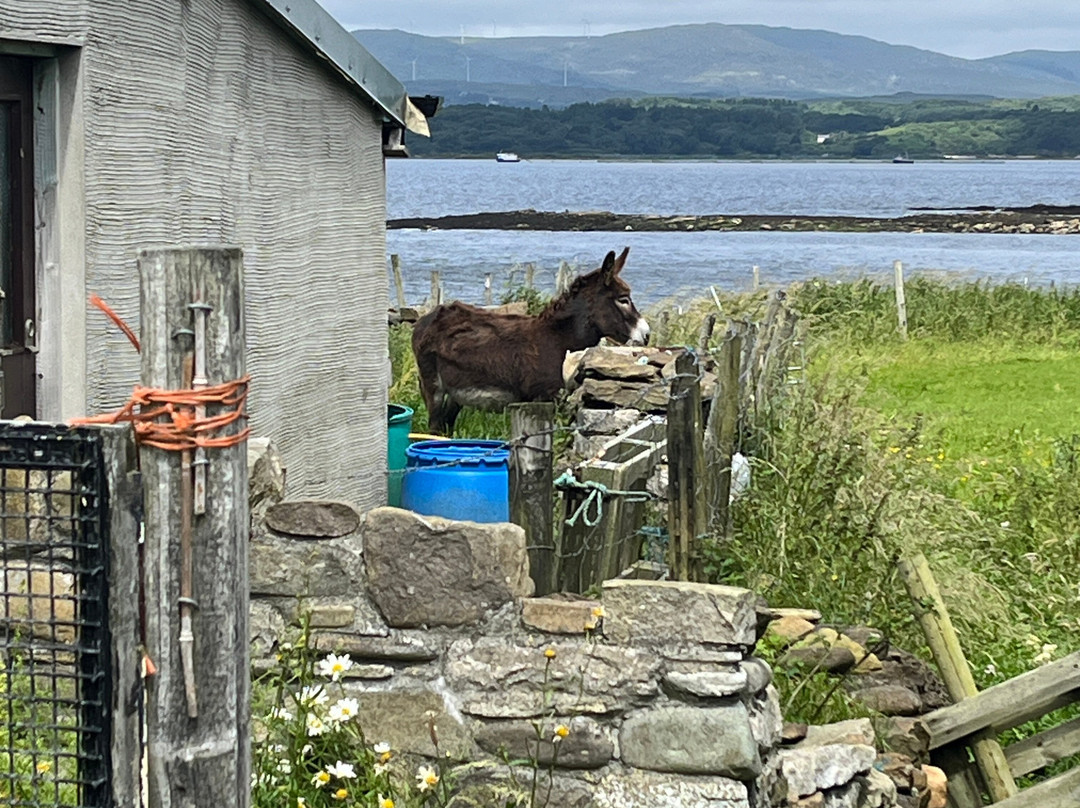 Ireland By Bike-Carrick必去景点