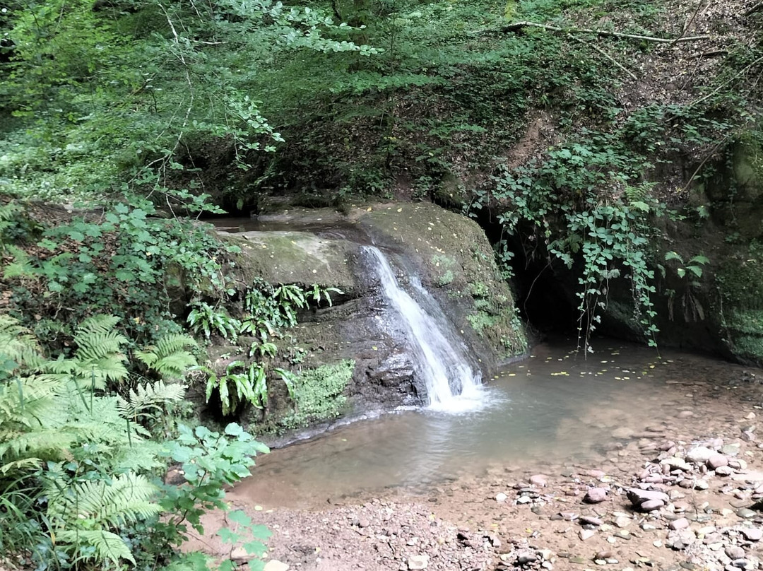 Villa Vontenie主图