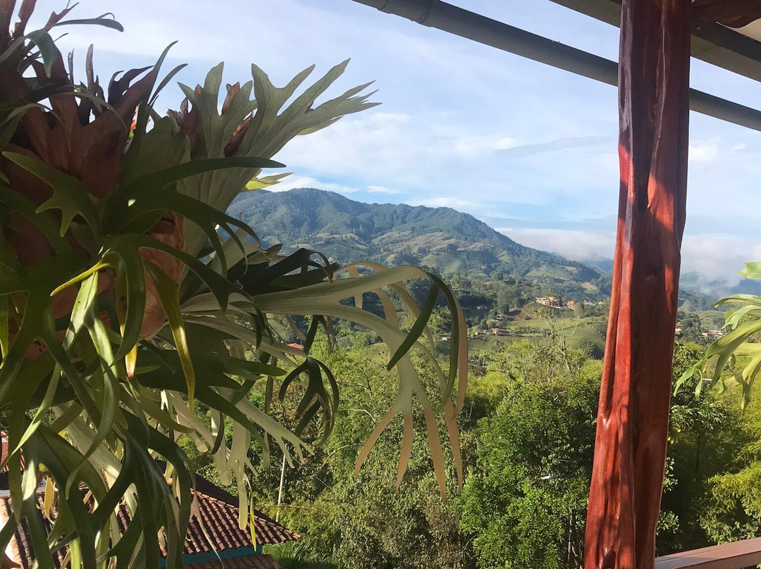 Hotel Santa Laura主图