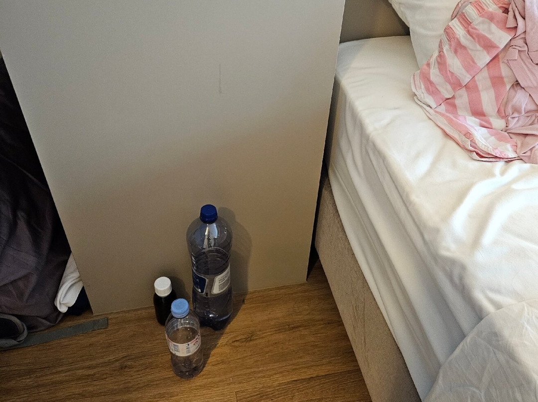 Hotel Wettstein主图