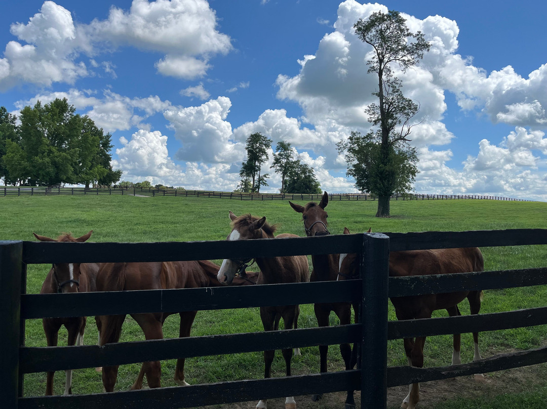 Lane's End-Versailles必去景点