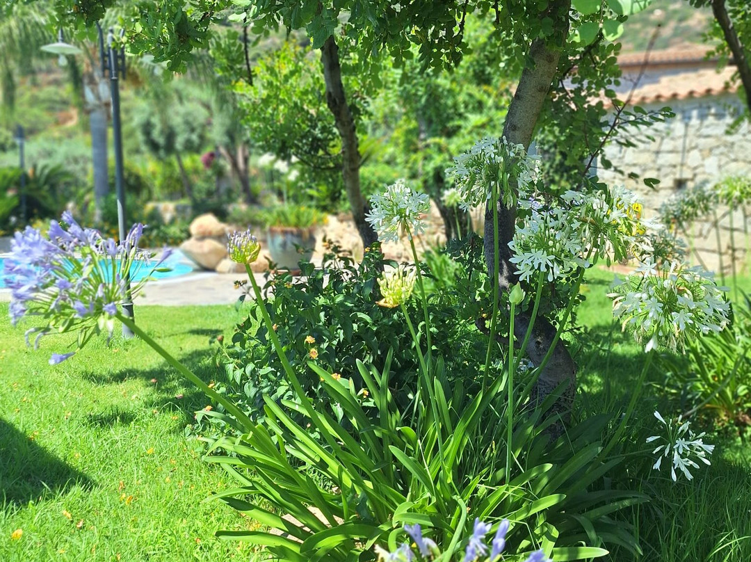 Piscine Cruccùris Resort di Villasimius-维拉西谬斯必去景点