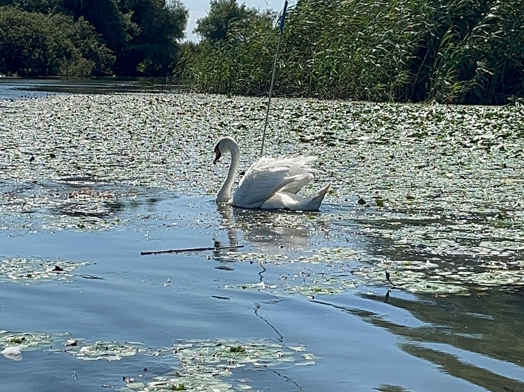 Tours in Delta with John-Crisan必去景点