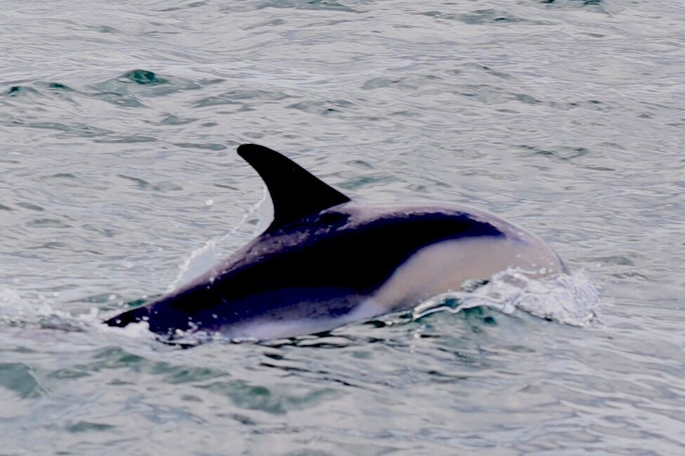 August Rock Adventures-法尔茅斯必去景点