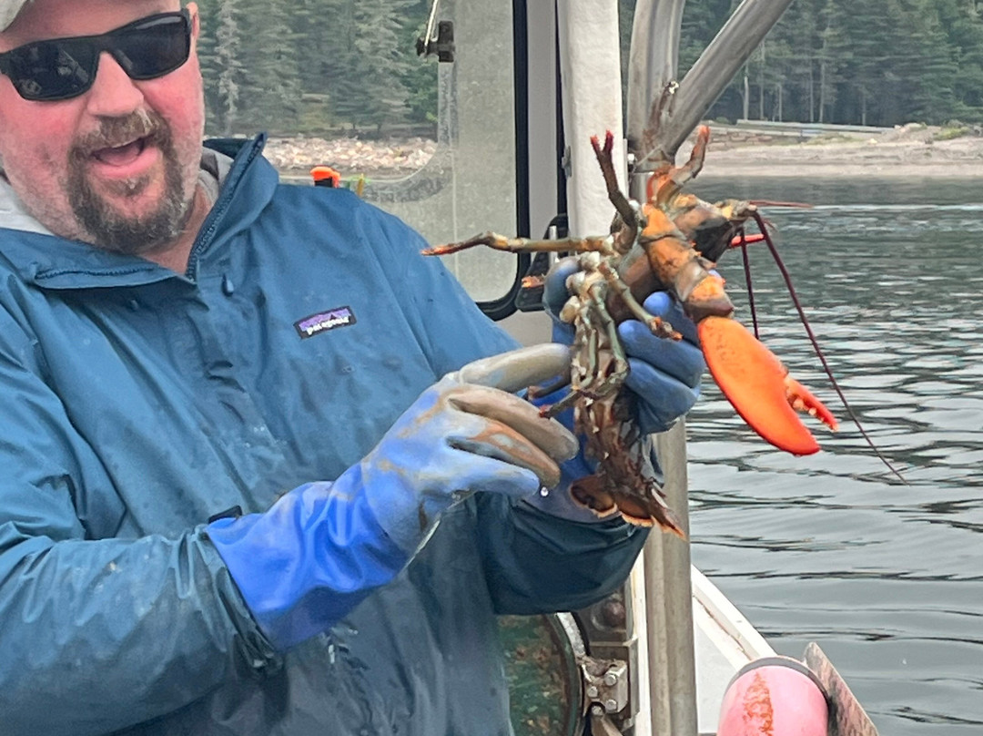 Bar Harbor Fishing Tours-山漠岛必去景点