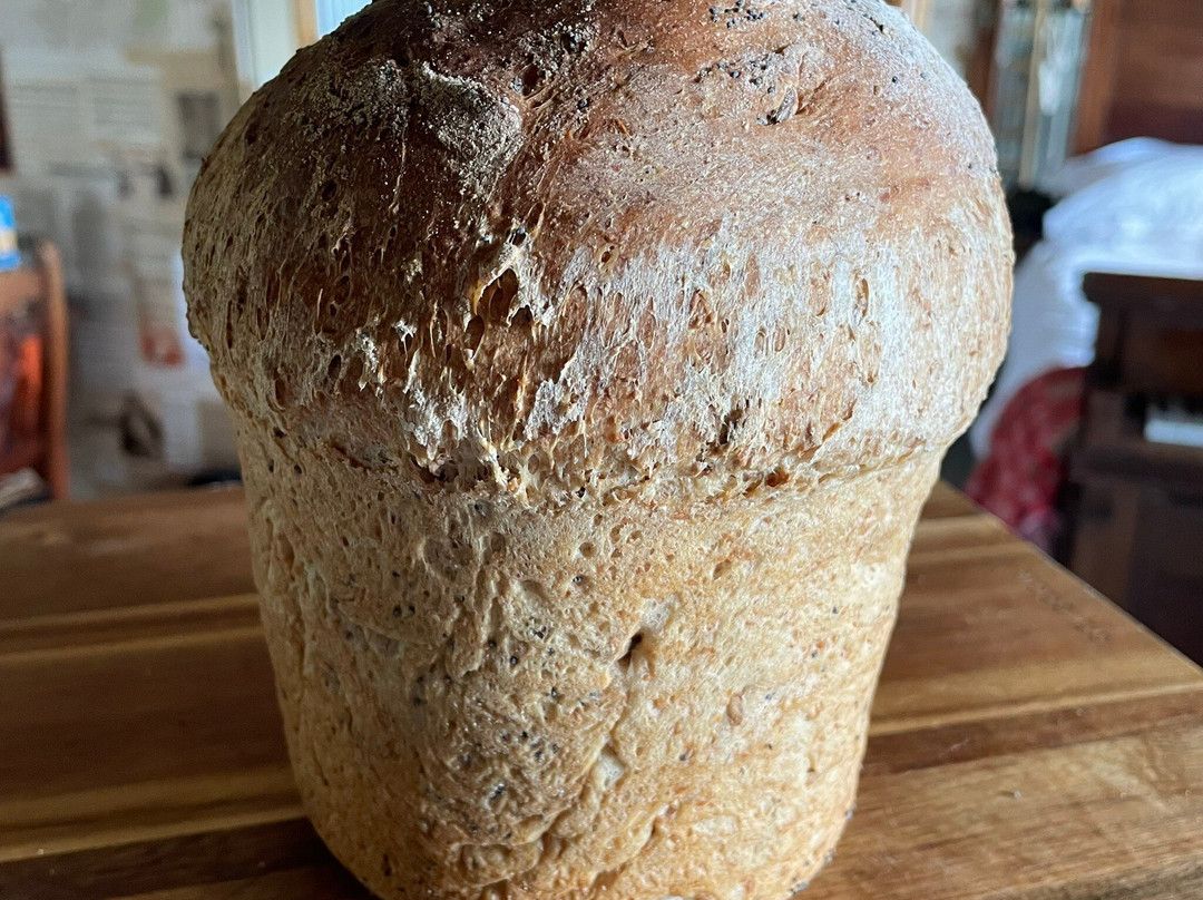 Nantgwynfaen Organic Farm主图