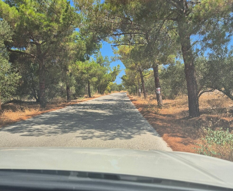 Tholos Beach-Kavousi必去景点