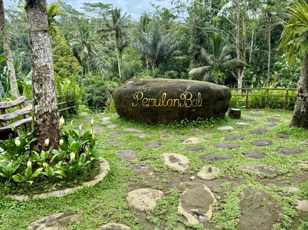 Pemulan Bali Coffee Plantation-Manukaya必去景点