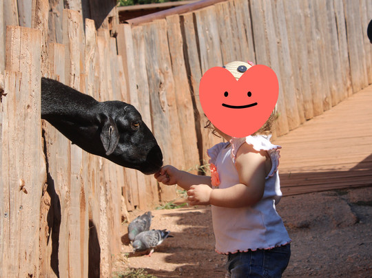 ZooParc du Cannet des Maures-Le Cannet-des-Maures必去景点
