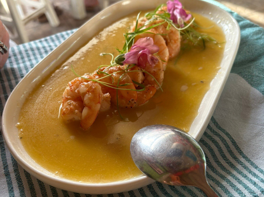 Maktub Pub-Paul do Mar必去景点