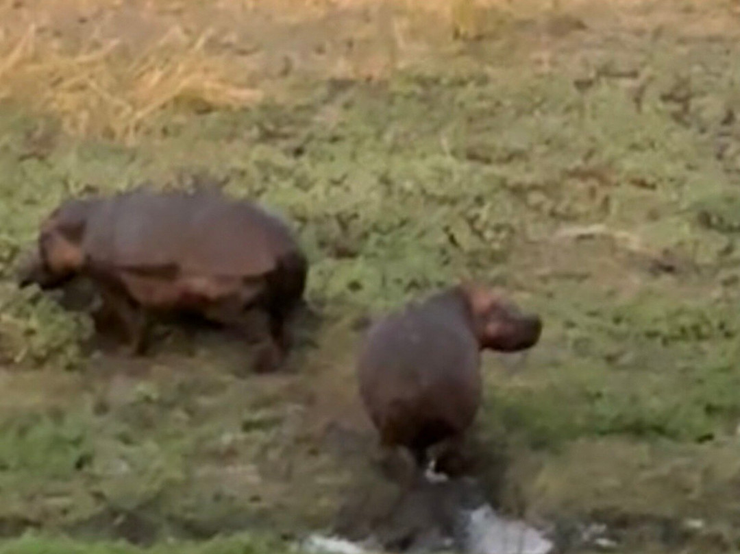 Cruize Wild Safaris-Iringa必去景点