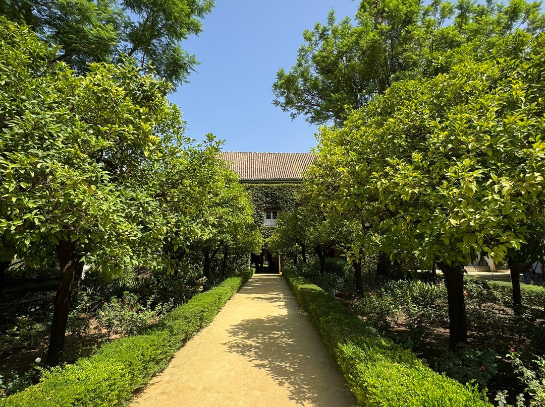Palacio De Las Duenas-塞维利亚必去景点