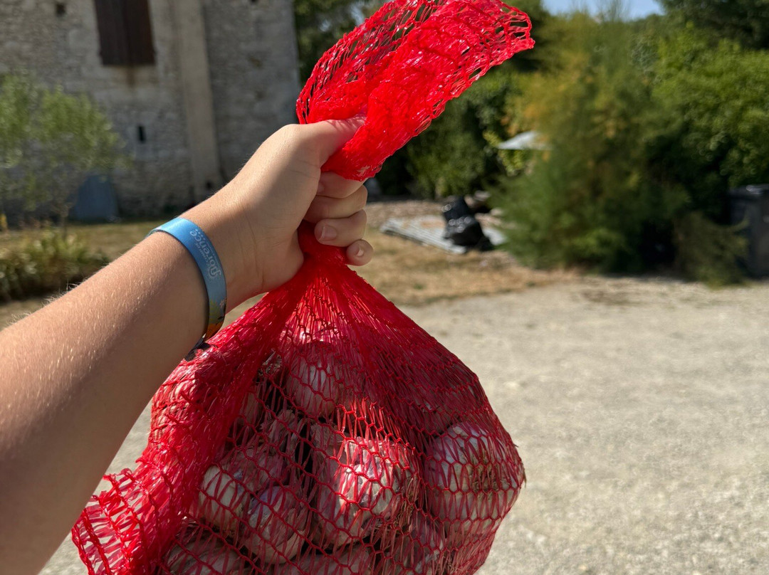 Maison De L’ail-Saint-Clar必去景点