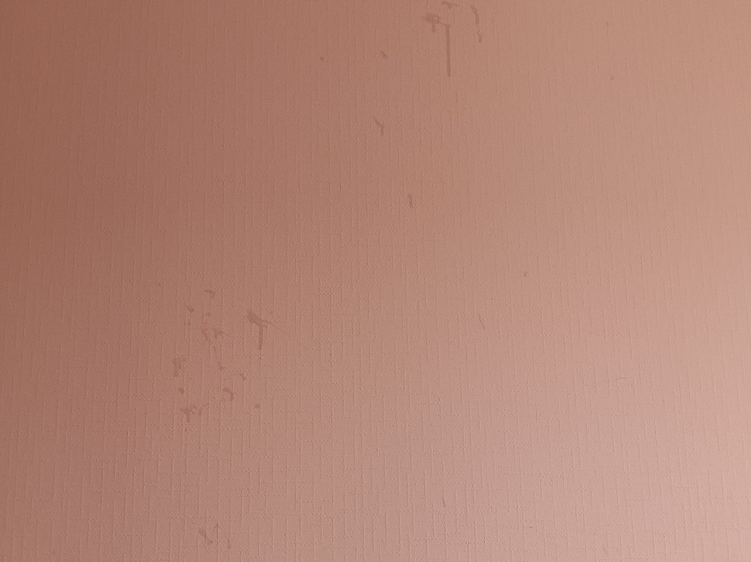 Semiramide Palace Hotel主图