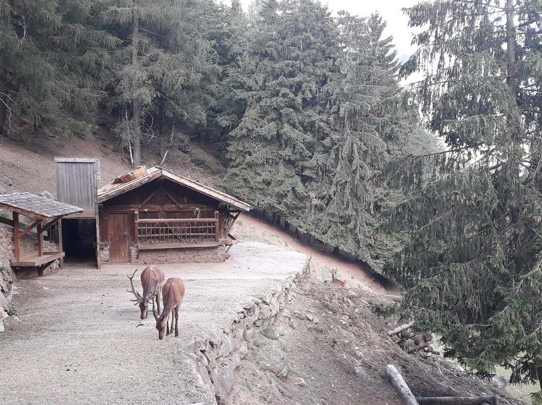 Area Faunistica-Peio Fonti必去景点