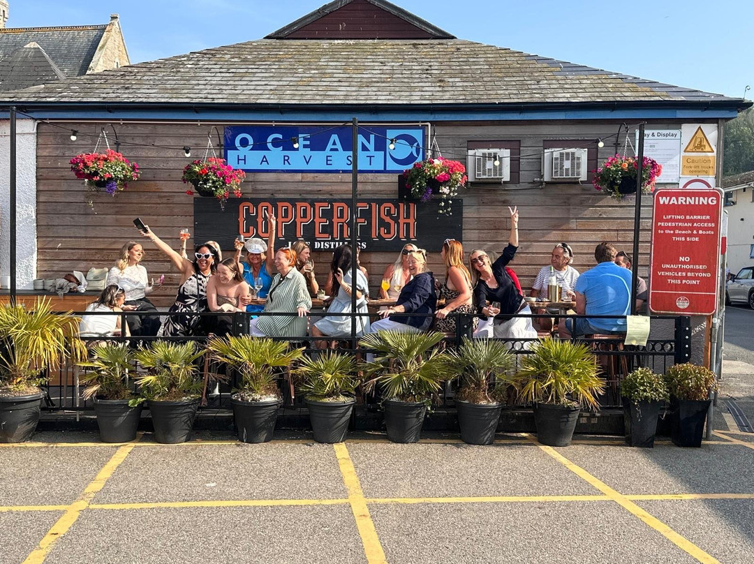 Copperfish  - Distillery & Bar