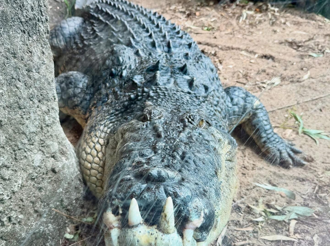 汉密尔顿岛野生动物世界-汉密尔顿岛必去景点