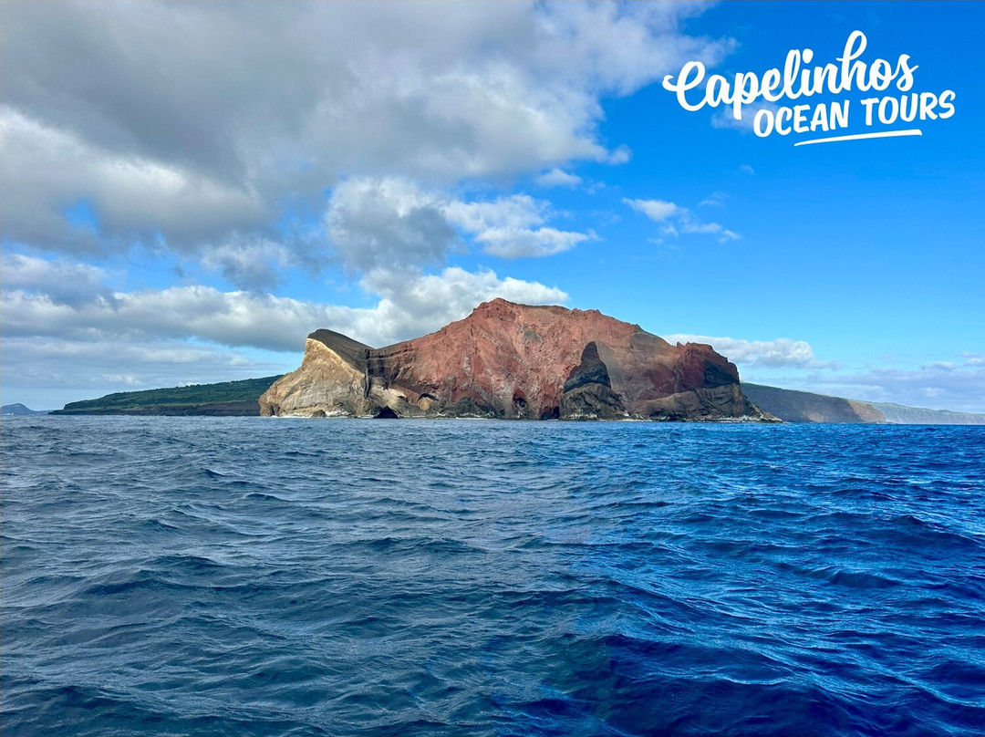 Capelinhos Ocean Tours-奥尔塔必去景点