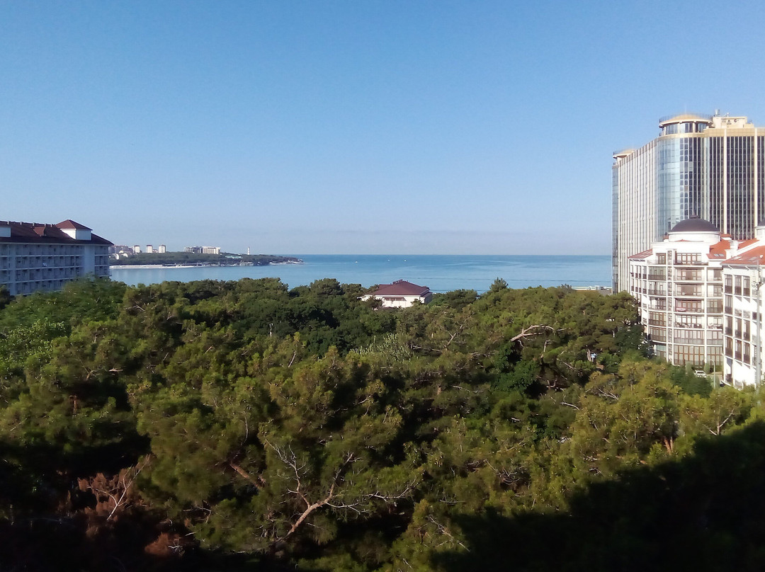 Krasnaya Talka主图