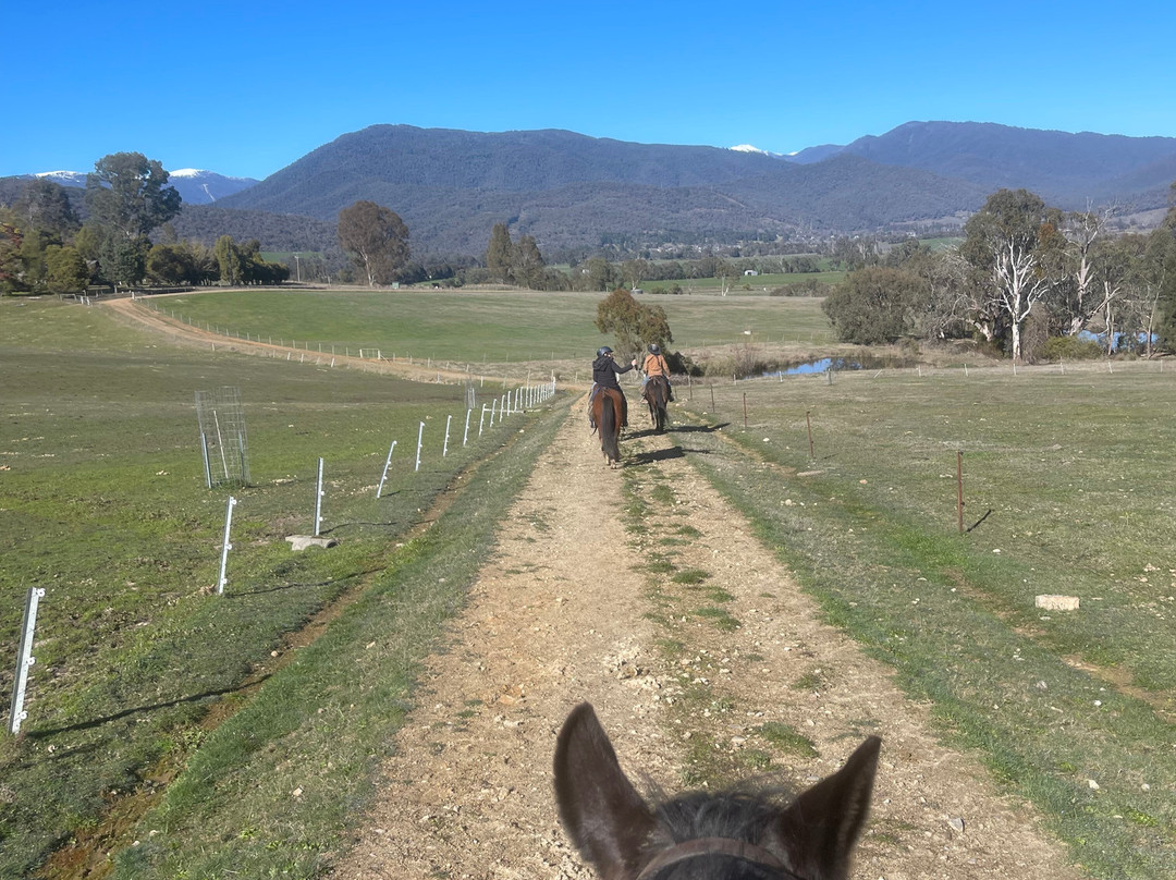Bogong Horseback Adventures-Tawonga必去景点