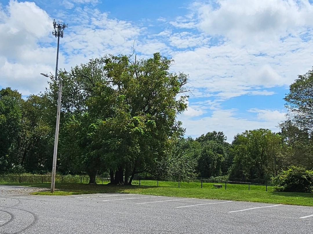 Blakes Venture Park-Forest Hill必去景点